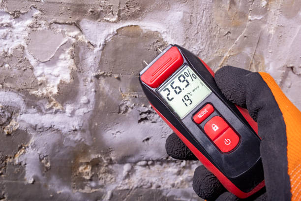 Best Kitchen Mold Remediation in Pittsburg, TX
